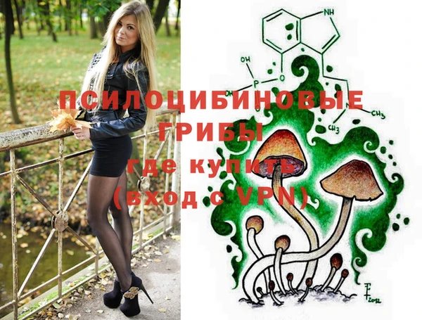 амф Бугульма