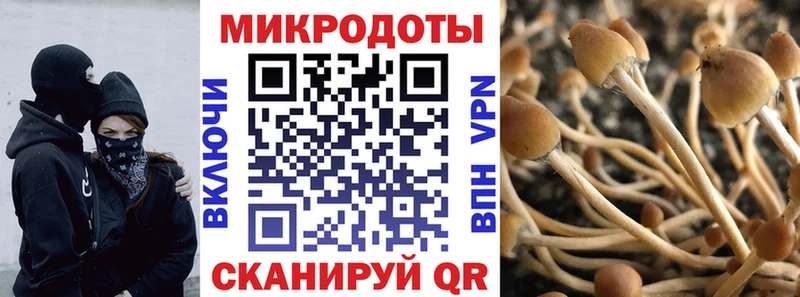 Псилоцибиновые грибы прущие грибы  Городовиковск 